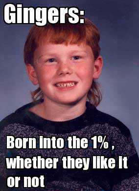 Funny Ginger Meme 2 - SlightlyQualified.com